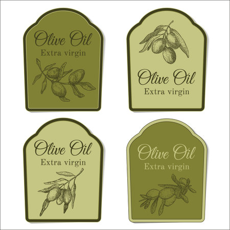 Set of labels for olive oil with ink illustration of olive branch in traditional outline stileのイラスト素材