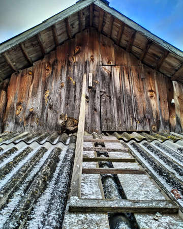 A beautiful cat in the attic of a private house in the village.の写真素材