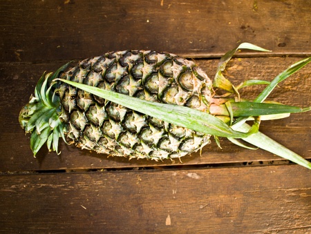 Pineapple fruit, native of Thailand, where to eat or grow sales.の写真素材