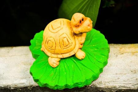 The funny little turtle on a lotus leaf.の写真素材