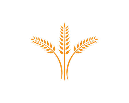 Education   Template vector illustration designのイラスト素材