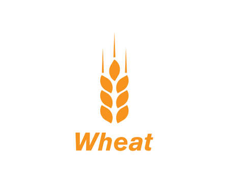 wheat Logo Template vector icon designのイラスト素材