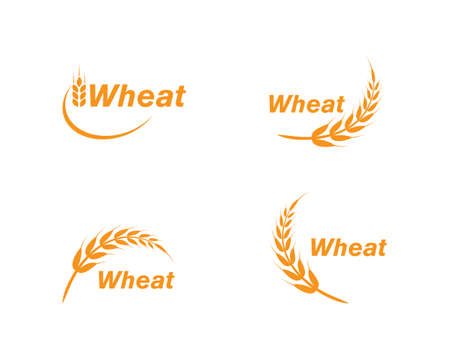 wheat Logo Template vector icon designのイラスト素材