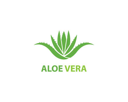 Aloe vera  vector illustration templateのイラスト素材