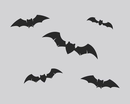 Bat illustration  vector template