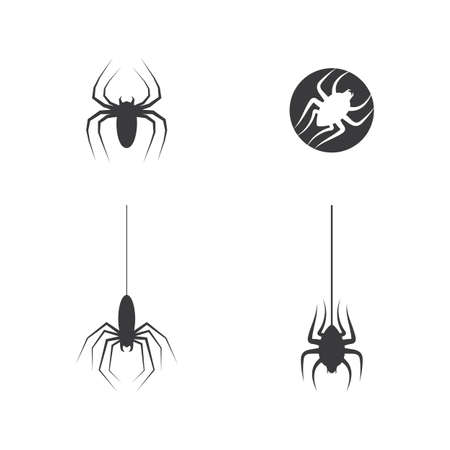 spider illustration  vector templateのイラスト素材