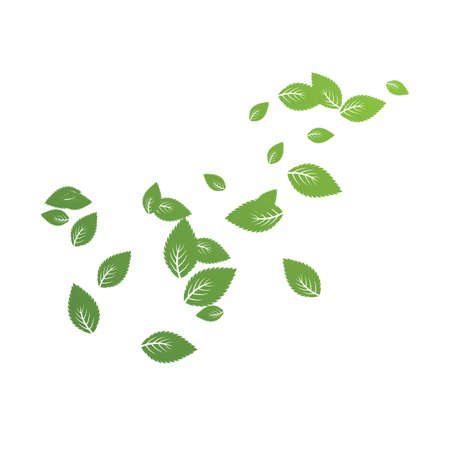 Mint leaf Background pattern illustration vectorのイラスト素材
