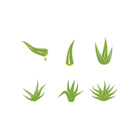 Aloe vera logo vector ilustration templateのイラスト素材