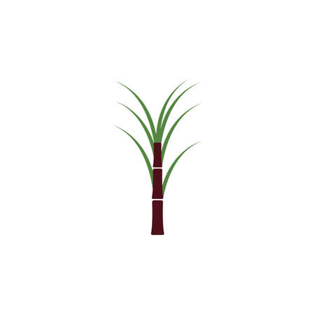 Sugar cane plant logo vector illustration designのイラスト素材