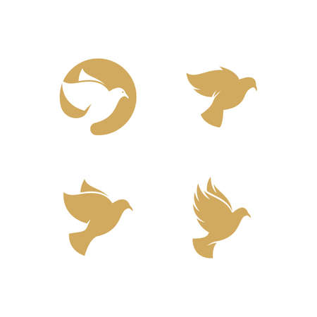 Dove bird symbol Template vector illustrationのイラスト素材