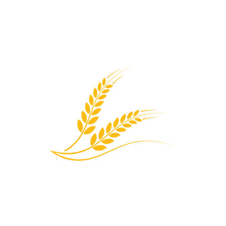 wheat logo vector template designのイラスト素材