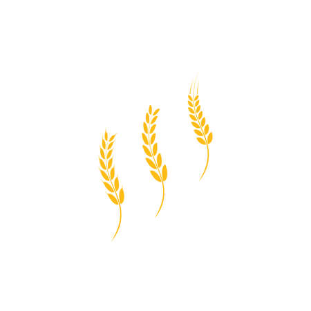 wheat logo vector template designのイラスト素材
