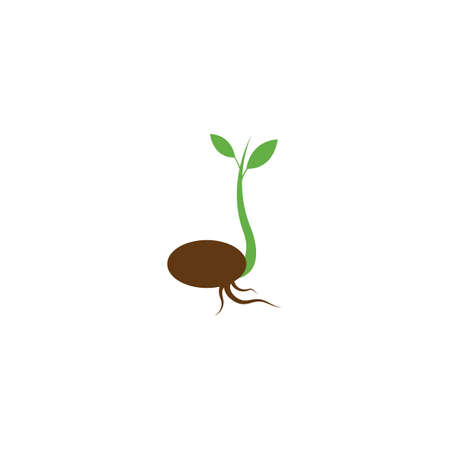 Plant life process illustration vector flat designのイラスト素材