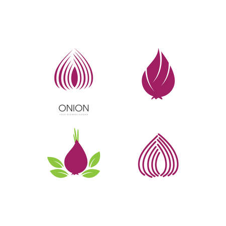 Onion on white background vector designのイラスト素材