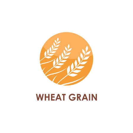 Wheat Logo template vector illustration designのイラスト素材