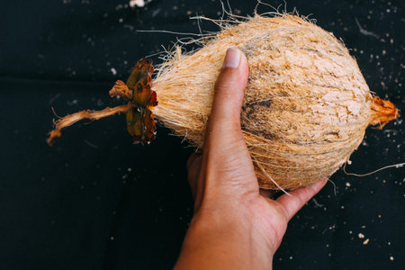Young coconut fruits peeled fresh  and healthyの写真素材