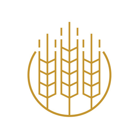 Wheat logo template vector designのイラスト素材