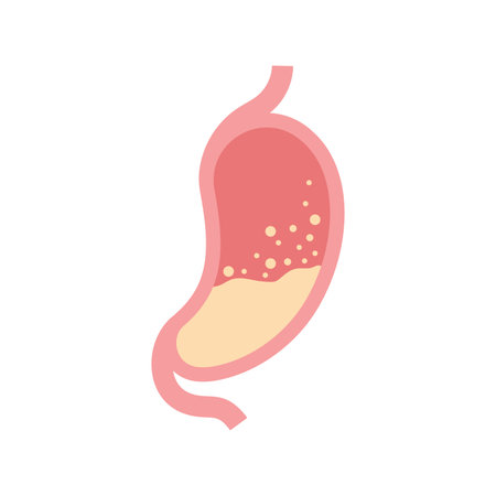 Stomach logo icon illustration vector flat designのイラスト素材