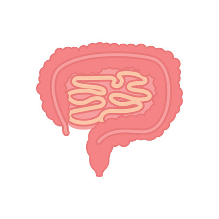 Intestine Illustration icon flat design vector