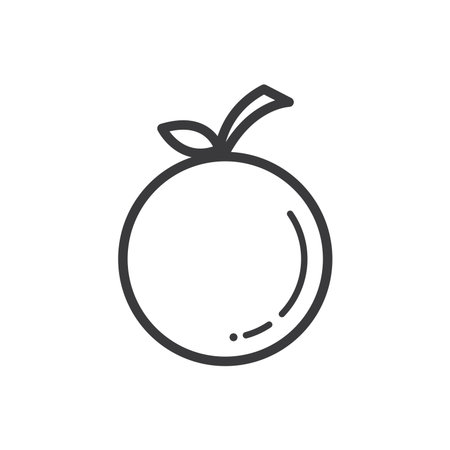 Modern line drawing of a fresh orange fruitのイラスト素材