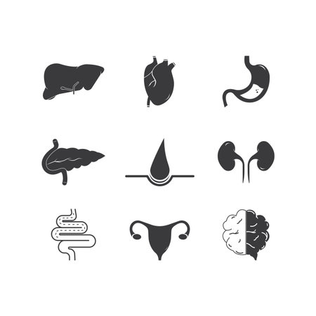 Human internal organs icon flat designのイラスト素材