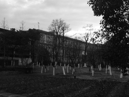 China Academy of Art in black and whiteのeditorial素材