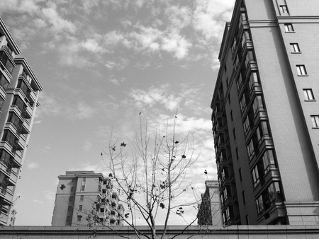 High rise building in black and whiteの写真素材