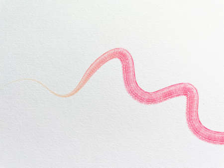 dry watercolor pink paint brush wallpaper conceptの写真素材