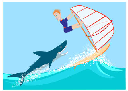 shark pursues wind surferのイラスト素材
