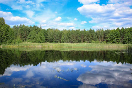 Forest lake and cloudy blue sky.の写真素材