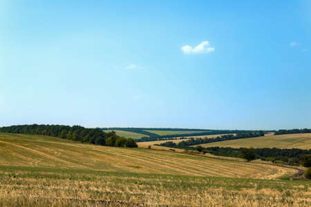 Rural summer landscape.の写真素材