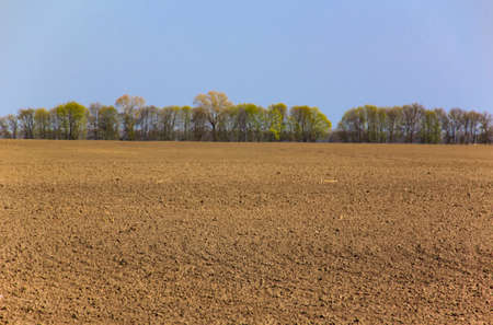 Arable land.の写真素材