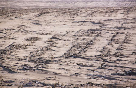 Rural winter landscape.の写真素材