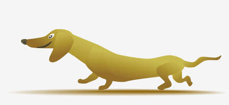 Funny yellow cartoon dachshund.のイラスト素材