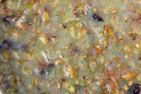 Fermentation of grape must.の写真素材