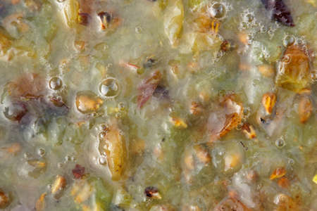 Fermentation of grape must.の写真素材