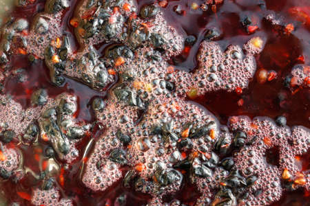 Fermentation of grape must.の写真素材