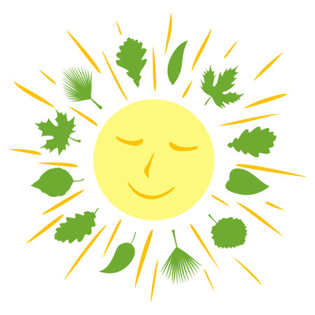 Smiling sun surrounded by green leaves and sunbeams.のイラスト素材