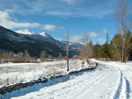 Winter landscape