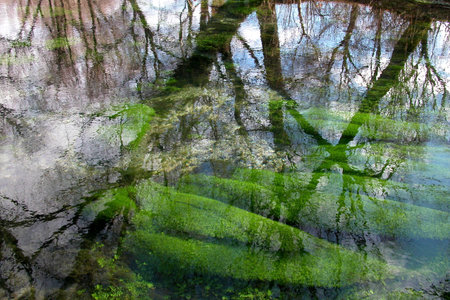 River's herbs