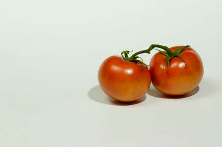 Two tomatoes on white background with room for headlineの写真素材