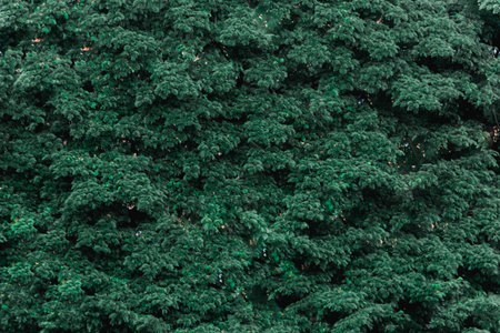 "The Green Symphony: A Close-Up of Nature's Pristine Leaf, Celebrating the Beauty of Botanical Lifeの写真素材