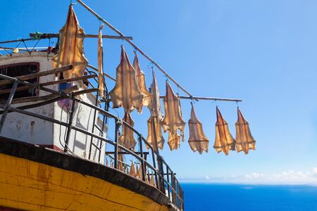 Drying fish on a boat in Madeiraの写真素材