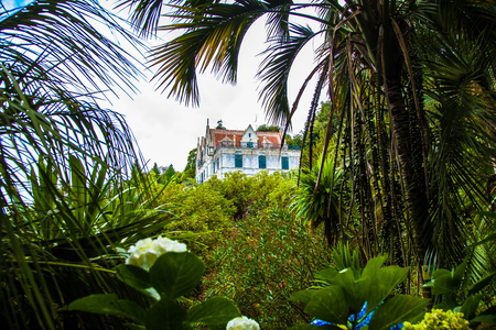 Madeira Island - Tropical Gardens of Monte Palaceのeditorial素材