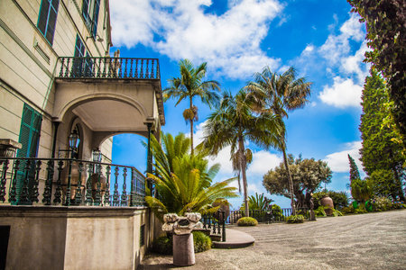 Madeira Island - Tropical Gardens of Monte Palaceのeditorial素材