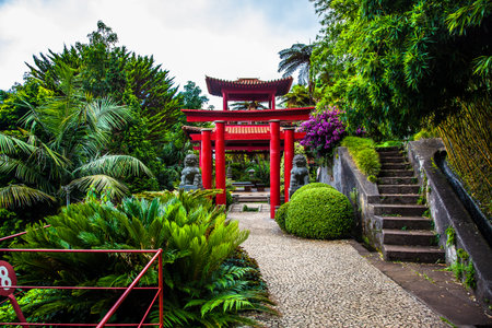 Madeira Island - Tropical Gardens of Monte Palace