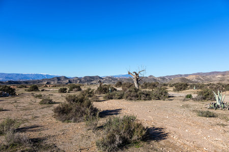 View of the Desert Tabernas in Almeria Province Spain