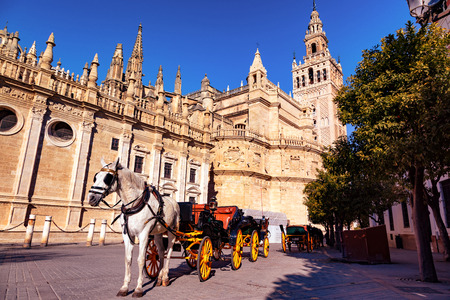 CathÃ©drale de Seville, Andalousie, Espagne / Cathedral of Seville, Andalusia, Spainのeditorial素材