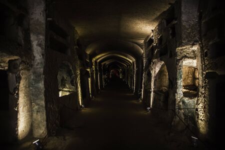 Catacombs of San Gaudioso, Naples, Campania, Italyのeditorial素材