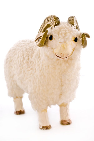 Toy sheep made out of real wool. の写真素材